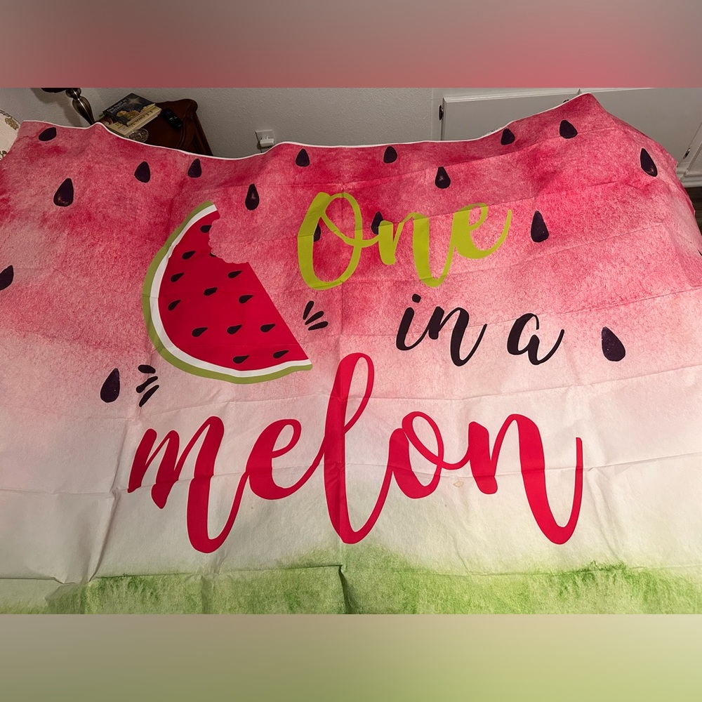 One in a melon birthday supplies